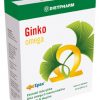 Ginko Omega