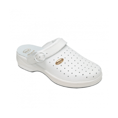 Scholl BONUS - bela