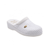 Scholl Clog Backguard - Bela