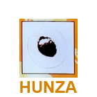 Hunza Oil