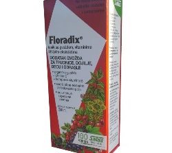 23919 Floradix sirup 250ml